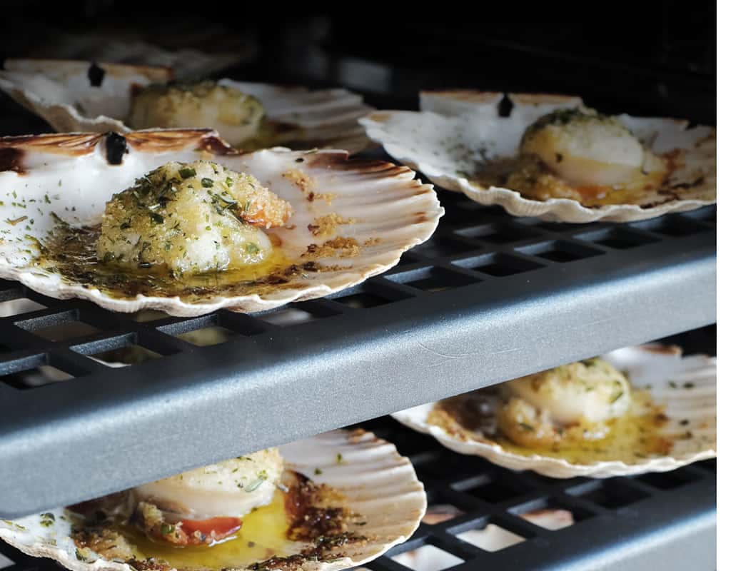 <p><strong>﻿Would you believe</strong></p><p><strong>that it only takes 6 minutes</strong></p><p><strong>﻿to cook a full load of Scallops?</strong></p>