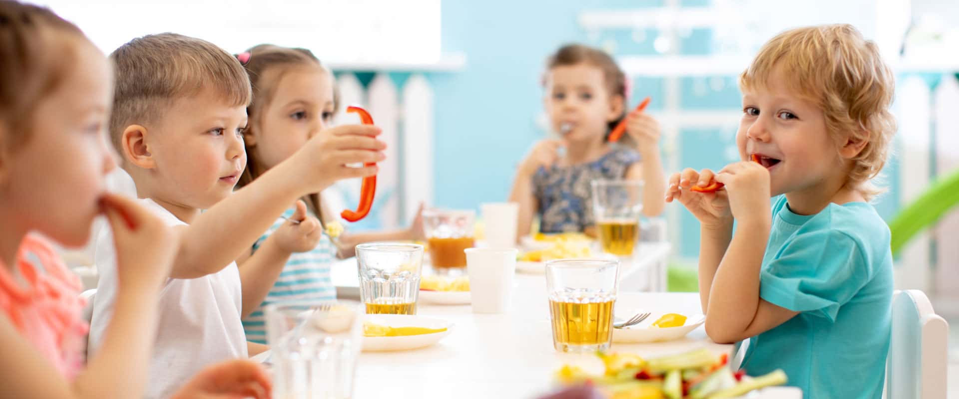 <p><strong>Educazione all'alimentazione</strong></p>